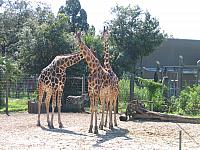 IMG 4376