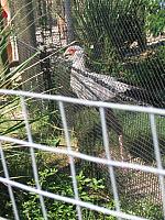 IMG 4377