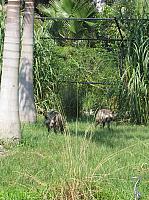IMG 4380