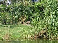 IMG 4381