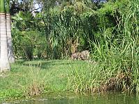 IMG 4382