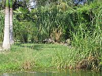 IMG 4383