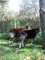 IMG 4385