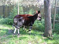 IMG 4386