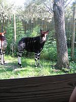IMG 4389