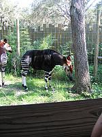 IMG 4390