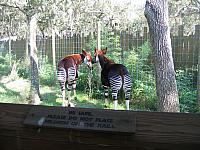 IMG 4391