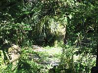 IMG 4394