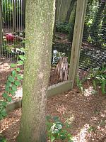 IMG 4396