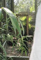 IMG 4397