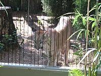 IMG 4399
