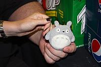 IMG 2645
