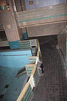 IMG 2659