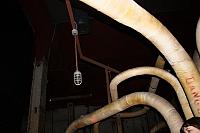 IMG 2683