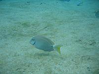 IMG 5202