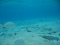 IMG 5203