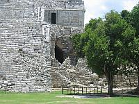 IMG 5241
