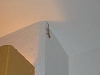 IMG 5286