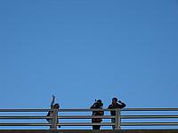 IMG 5774