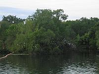 IMG 5775