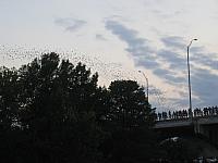 IMG 5777