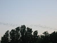 IMG 5778