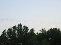 IMG 5779