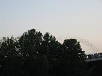 IMG 5780