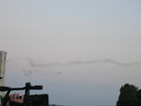 IMG 5783