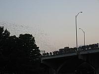 IMG 5784