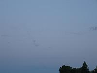 IMG 5786