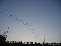 IMG 5788