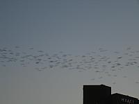 IMG 5789