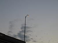 IMG 5790
