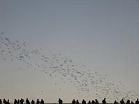 IMG 5791