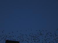 IMG 5792
