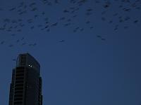 IMG 5795