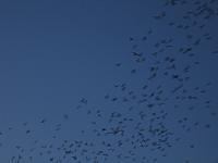 IMG 5796