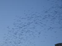 IMG 5797