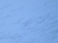 IMG 5798