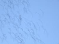 IMG 5799