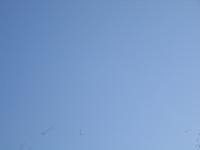 IMG 5802
