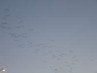 IMG 5803
