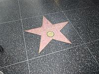 IMG 0101