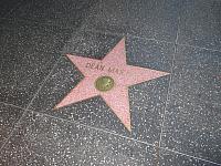 IMG 0102