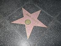 IMG 0103