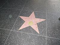 IMG 0106