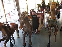 IMG 0137