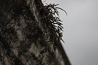 IMG 0013