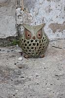 IMG 0014